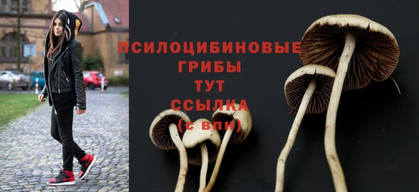 2c-b Арсеньев