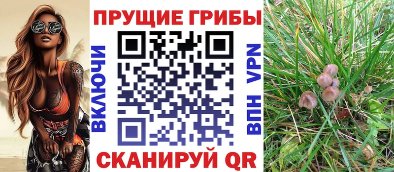 shop официальный сайт  хочу наркоту  Пошехонье  Псилоцибиновые грибы GOLDEN TEACHER 